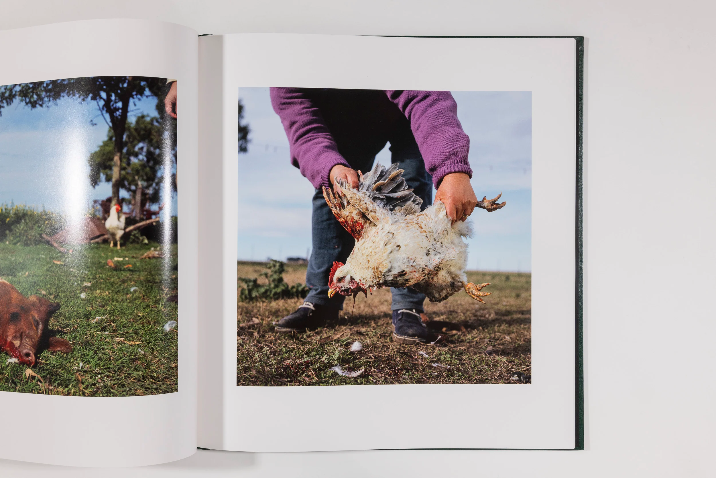 Alessandra Sanguinetti, On the Sixth Day - Image 9