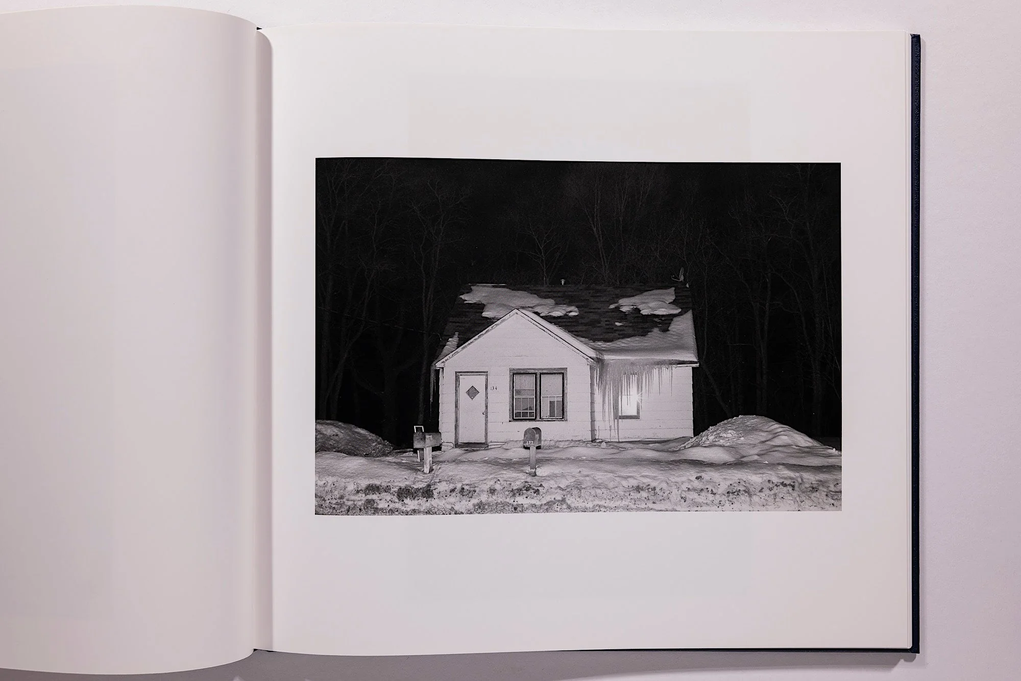 Alessandra Sanguinetti, Some Say Ice, Unsigned - Image 12