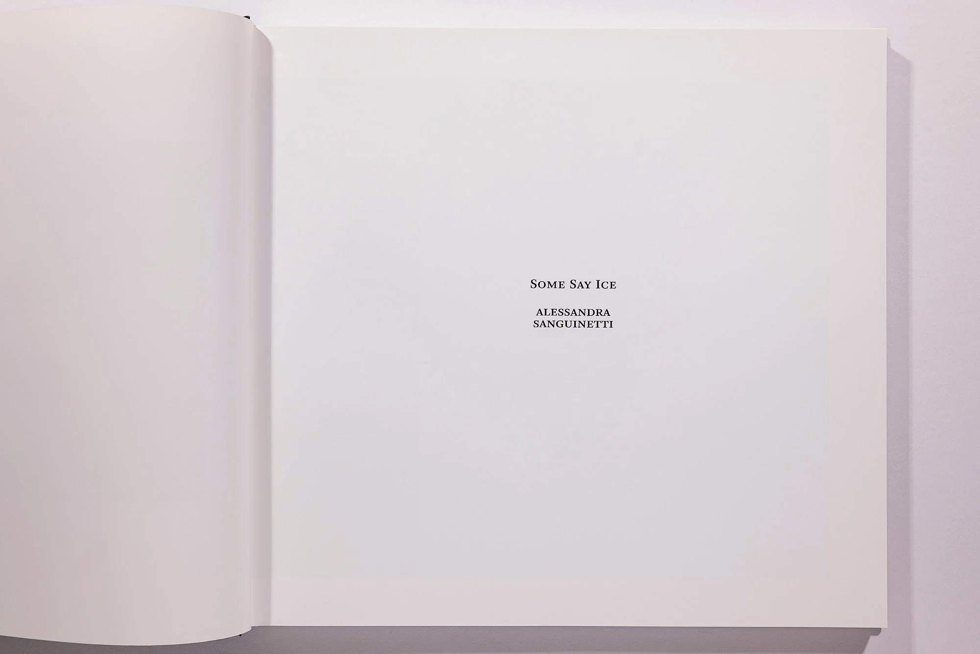 Alessandra Sanguinetti, Some Say Ice, Unsigned - Image 3