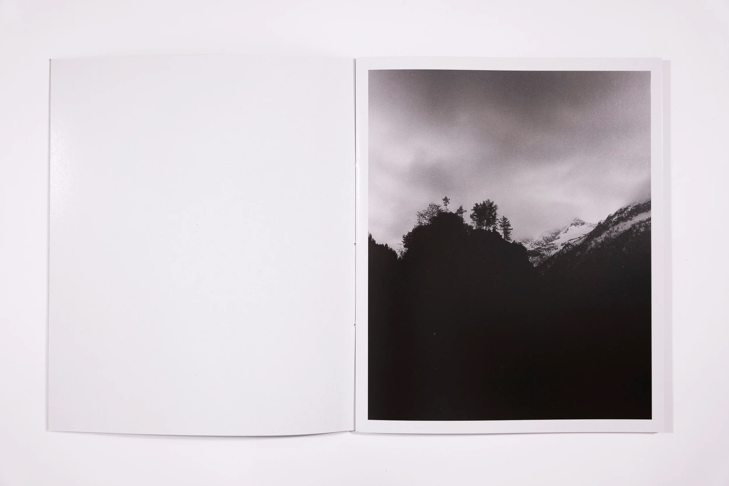 Awoiska Van Der Molen, The Living - Image 3