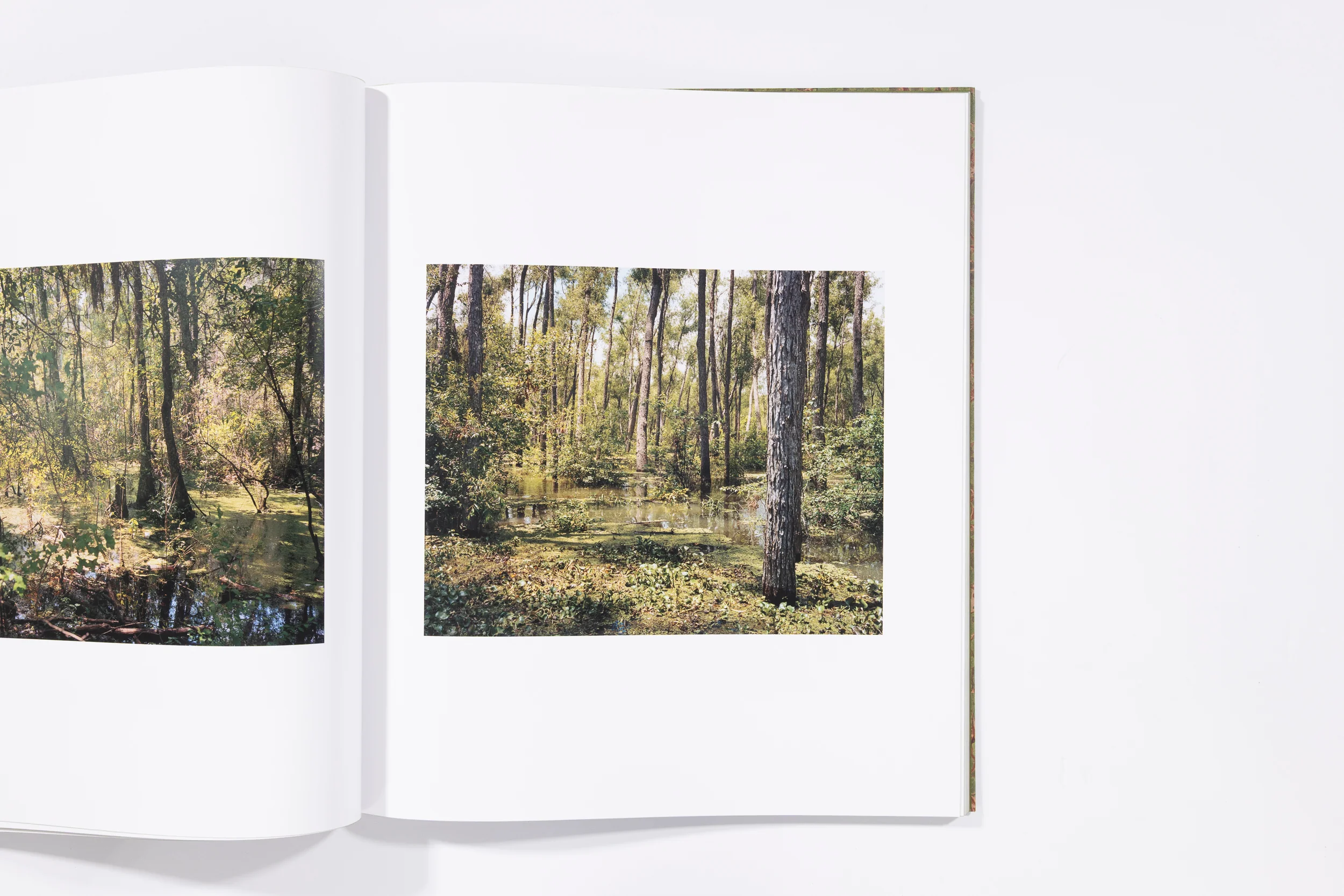 Blood Green - Curran Hatleberg - Image 6