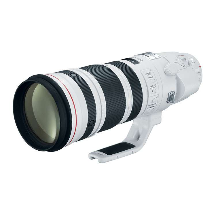 Canon 200-400mm f4.0L IS - Image 2