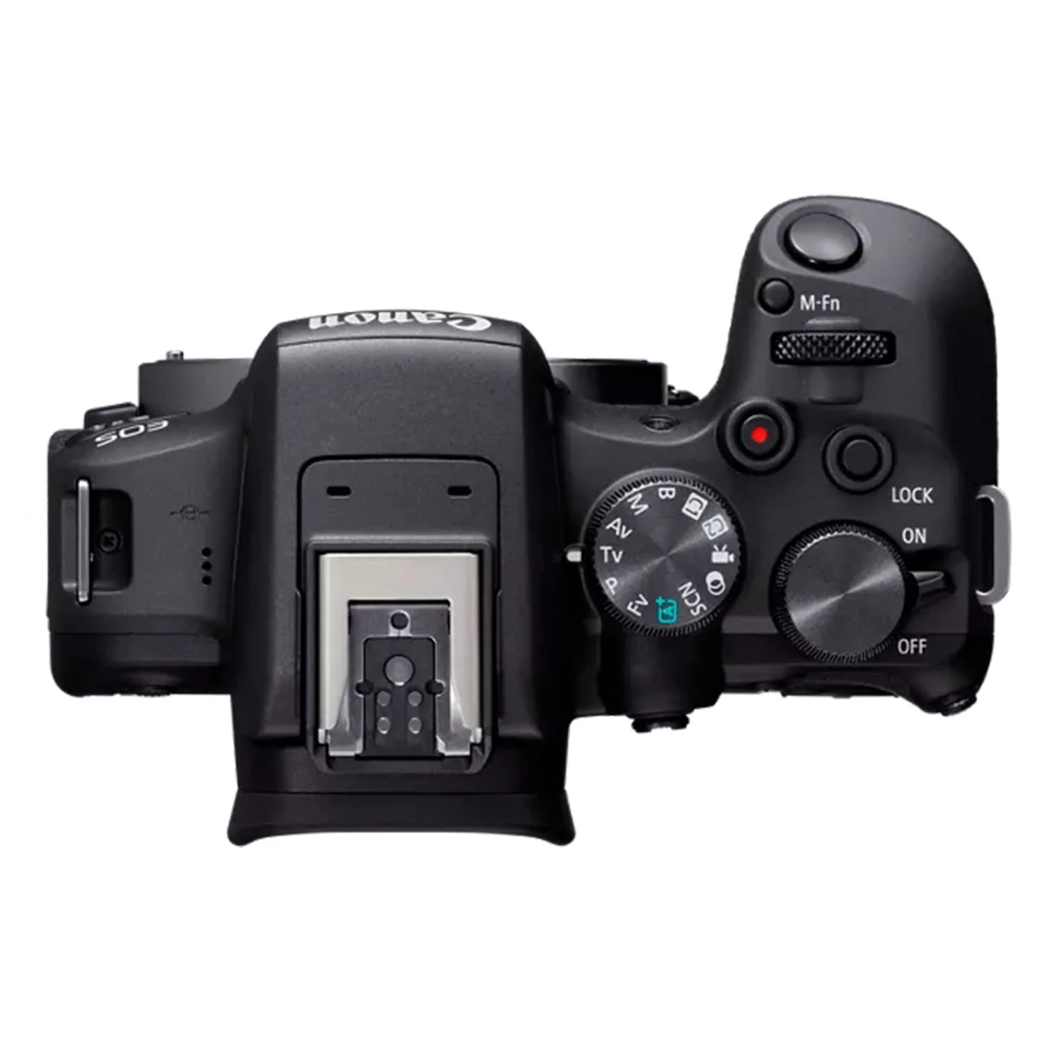 Canon EOS R10 w/ 18-150mm Lens - Image 5