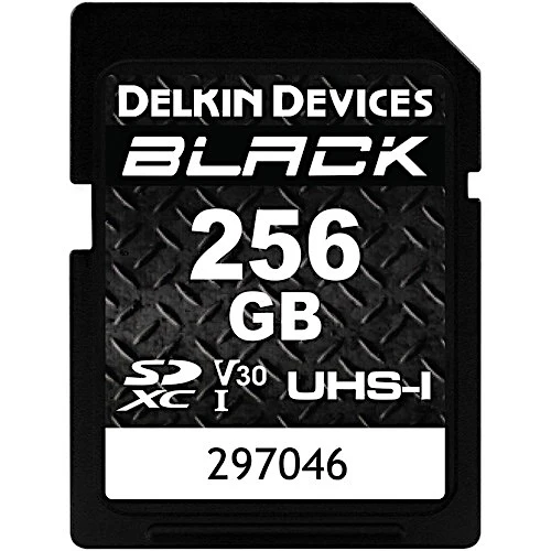 Delkin 256GB SD UHS-I Black