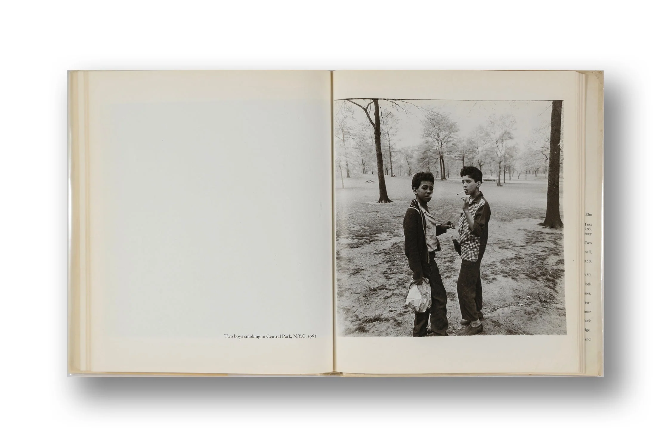 Diane Arbus 1972, First Edition (8+) - Image 6