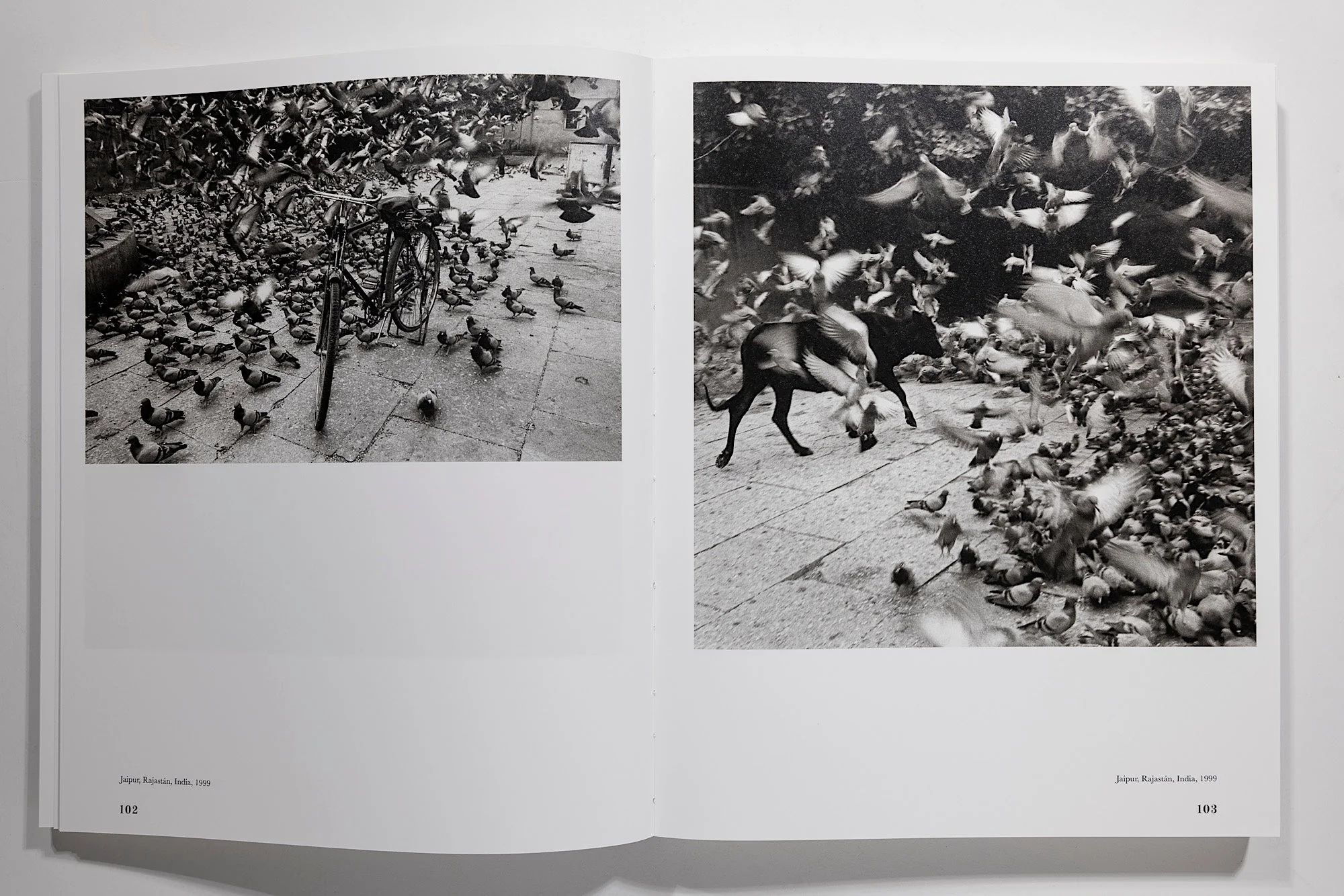 Graciela Iturbide: Heliotropo 37 - Image 8