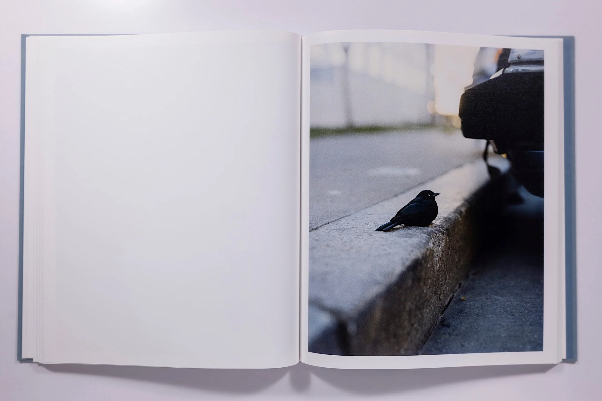 Gregory Halpern - Zzyzx - Image 11