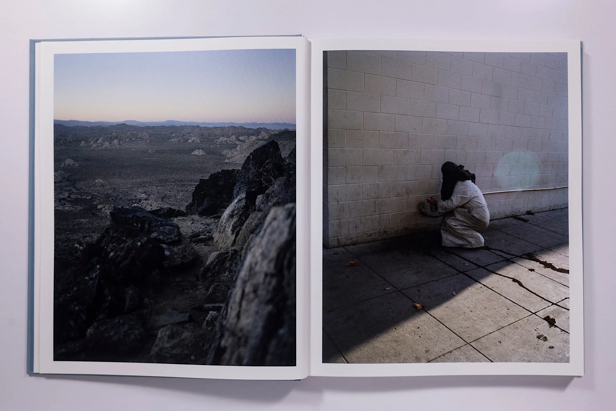 Gregory Halpern - Zzyzx - Image 7