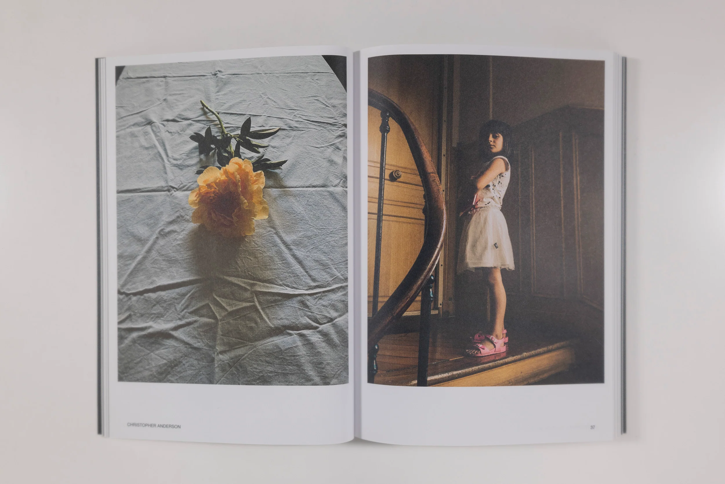 Hotshoe Magazine - At Home - Image 3