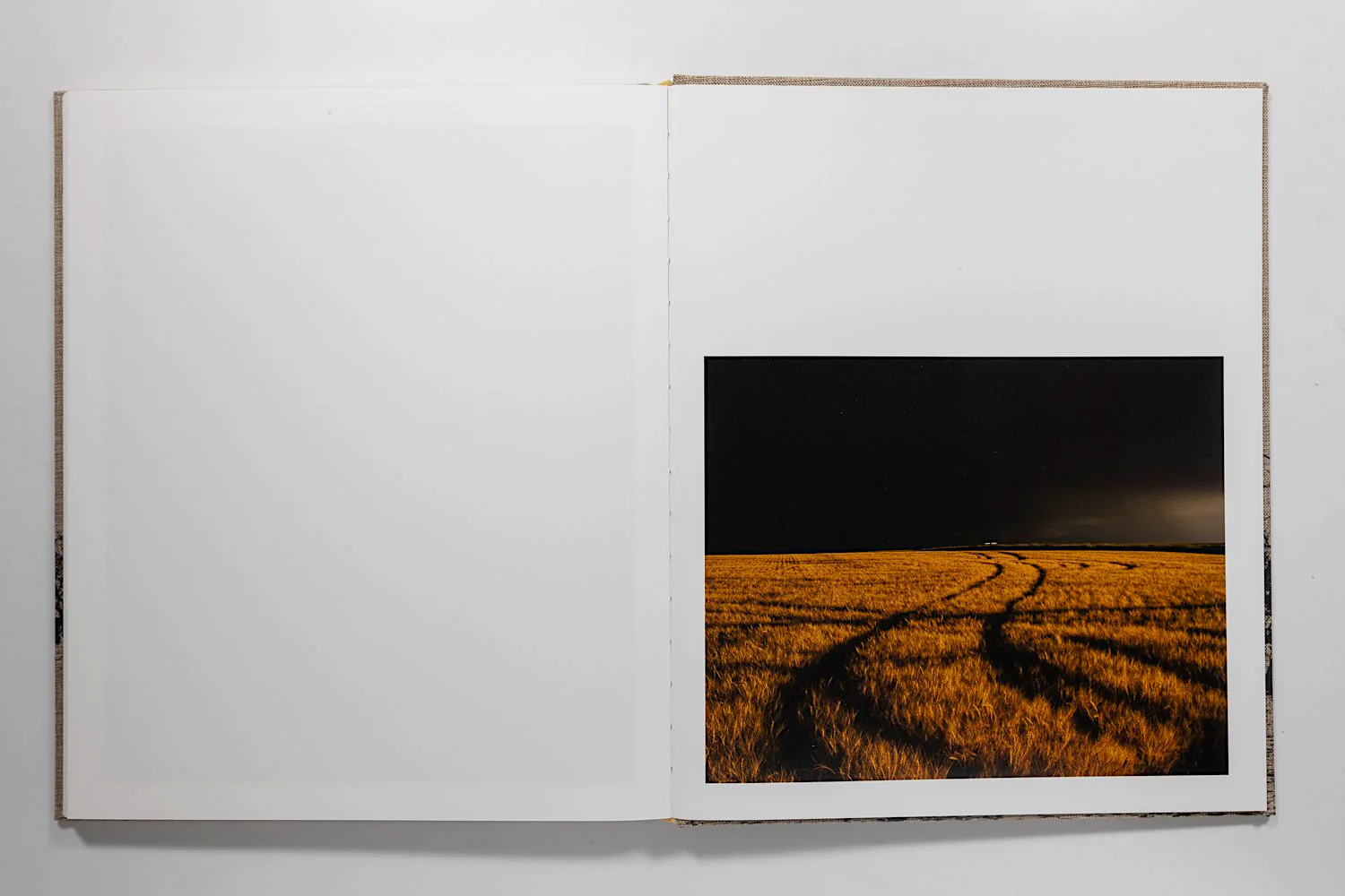 Ian Bates, Meadowlark - Image 10