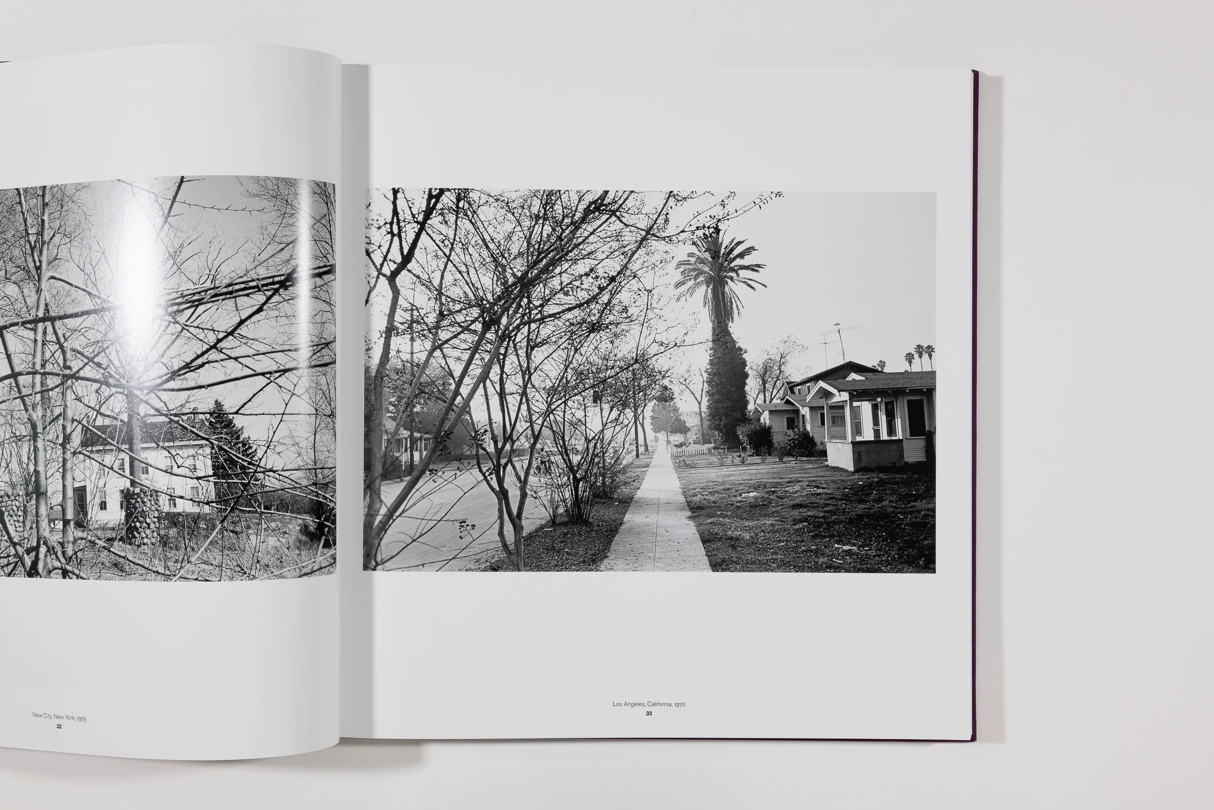 Lee Friedlander Real Estate - Image 10