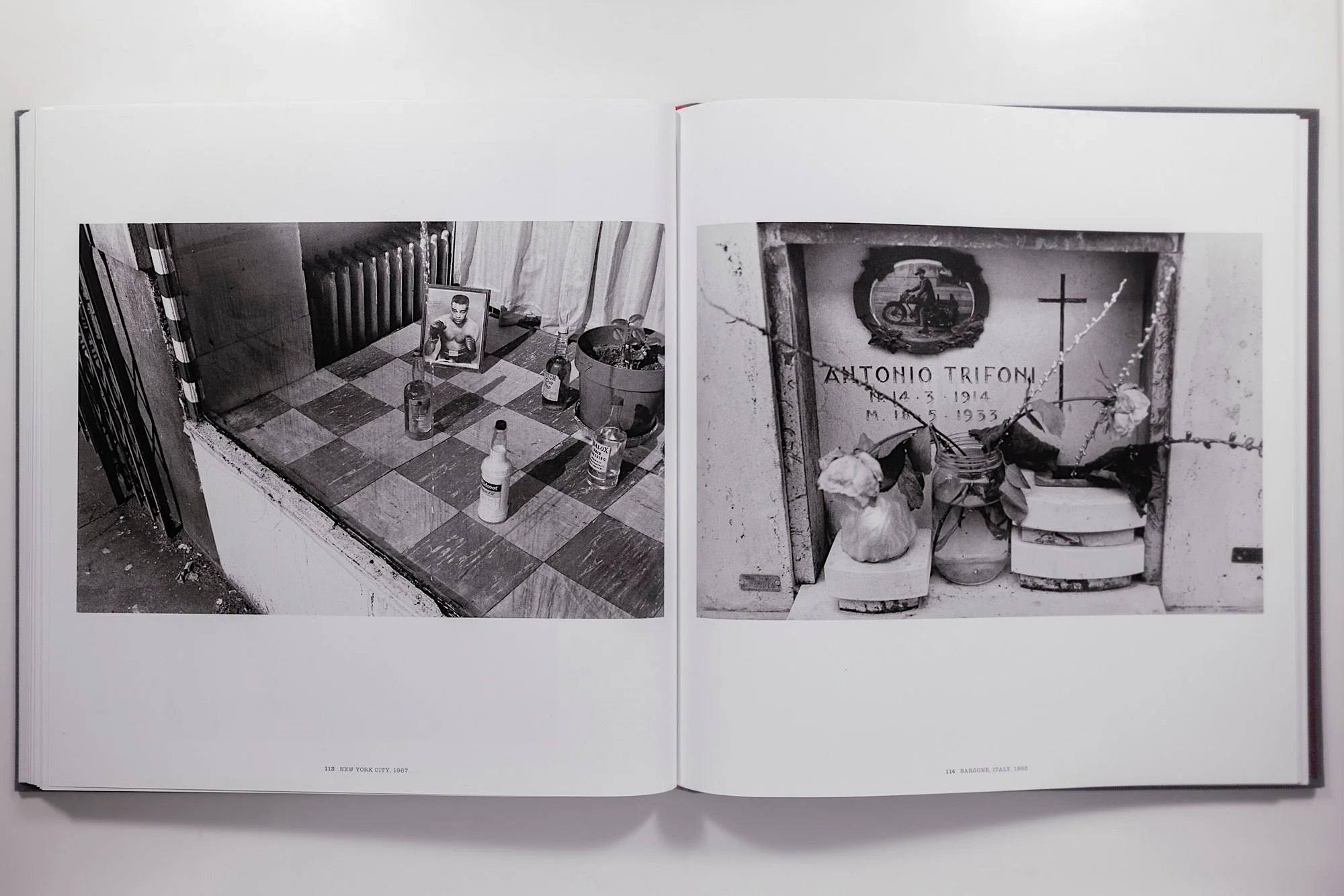 Lee Friedlander: The People's Pictures - Image 12