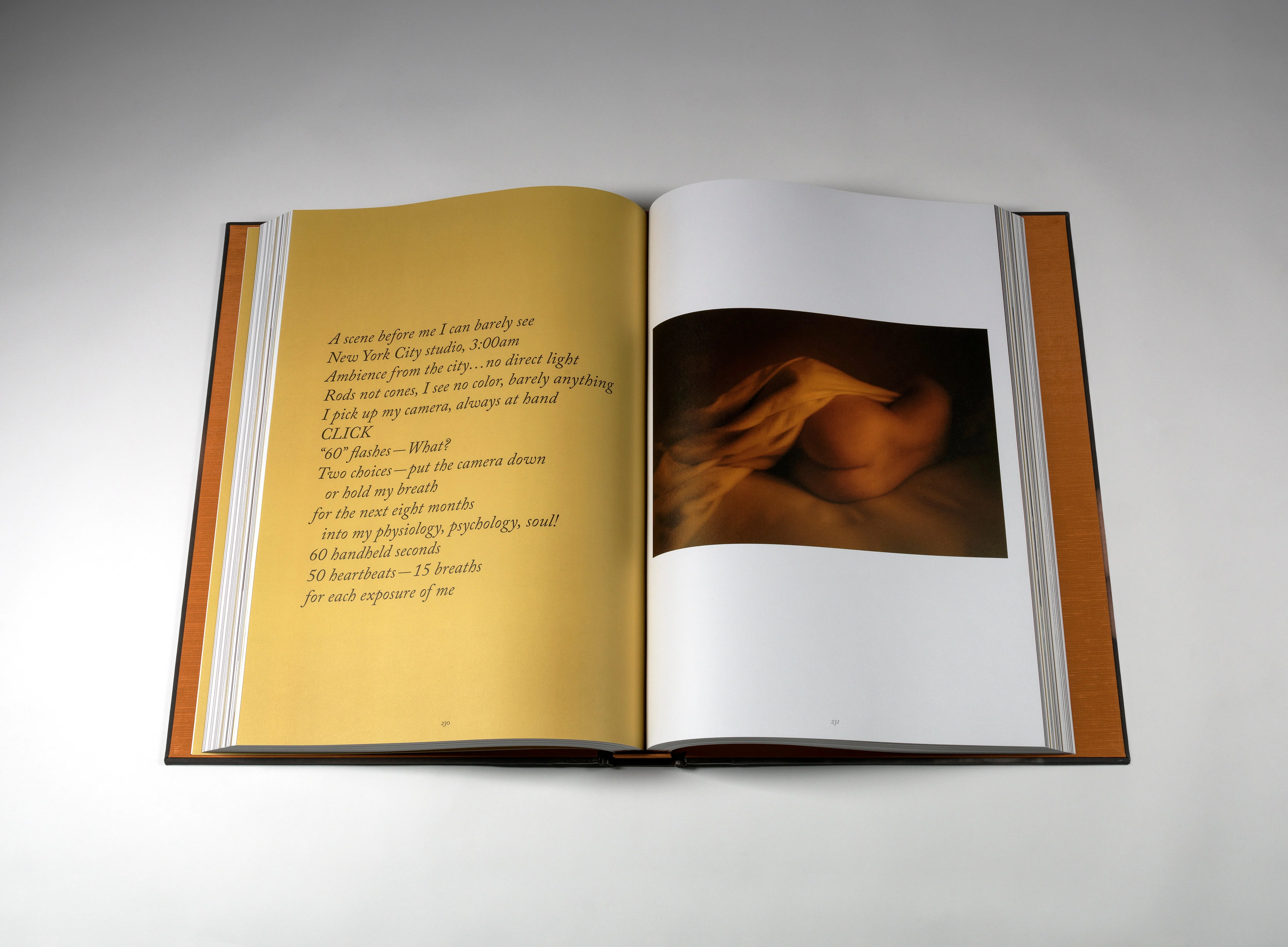 Mark de Paola - Five Years and Sixty Seconds + Print - Image 2