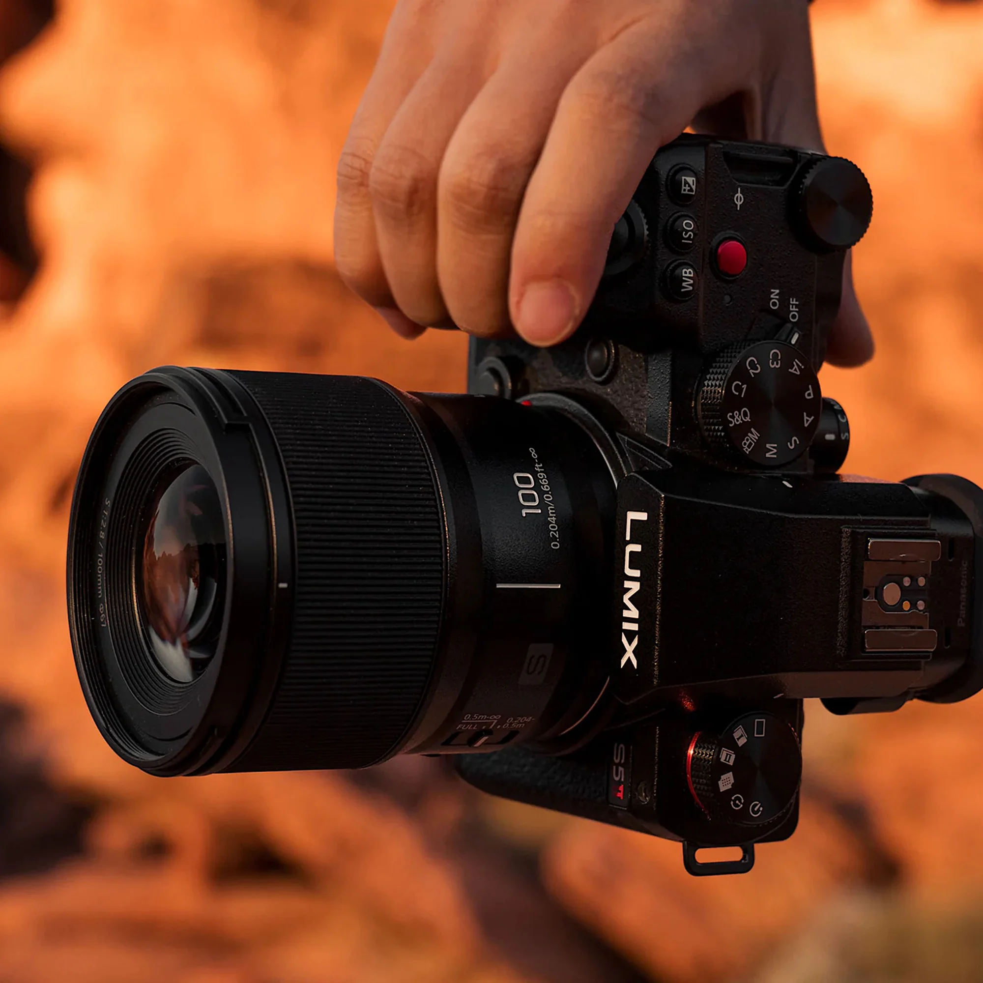 Panasonic S 100mm f2.8 Macro - Image 5