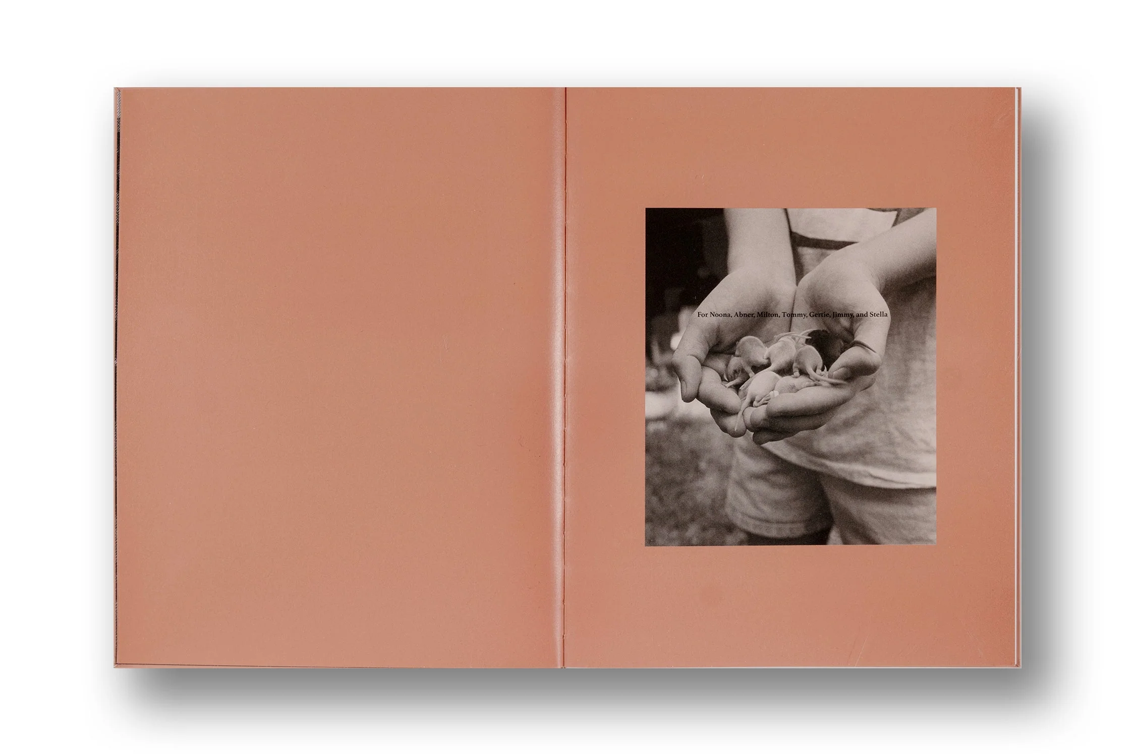 Peggy Nolan, Juggling is Easy (signed first ed.) - Image 4