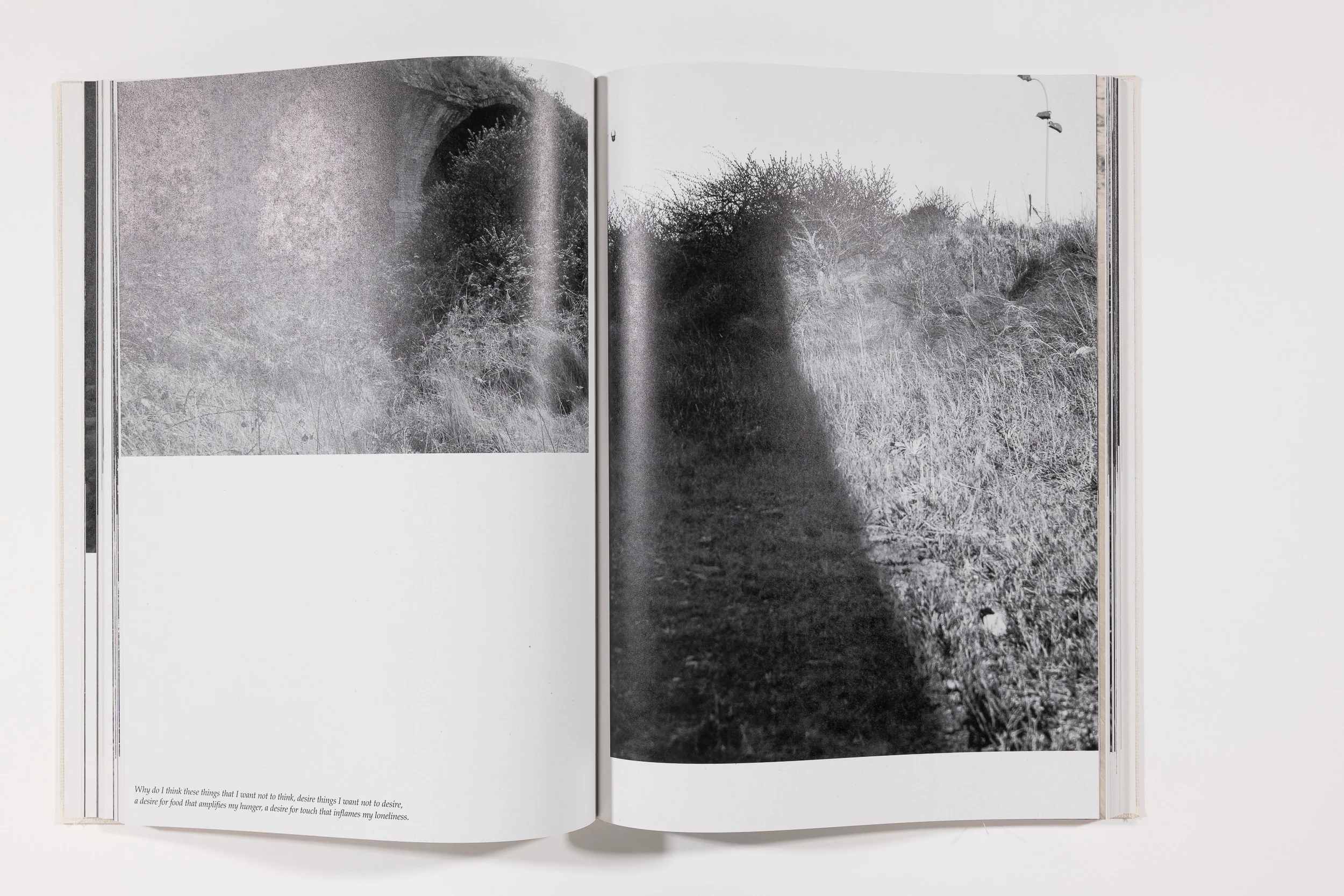 Raymond Meeks, Inhabitants - Image 4