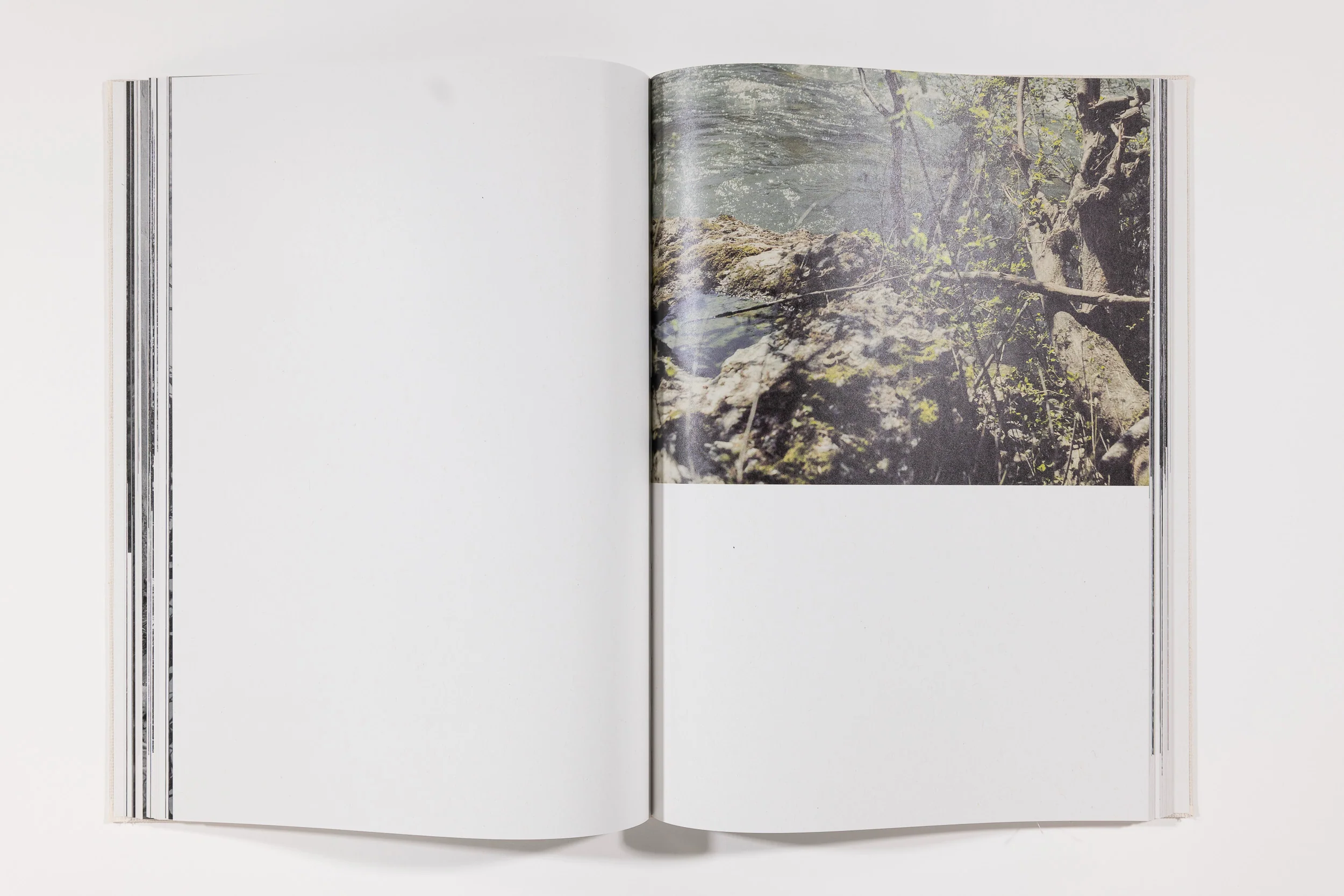 Raymond Meeks, Inhabitants - Image 9