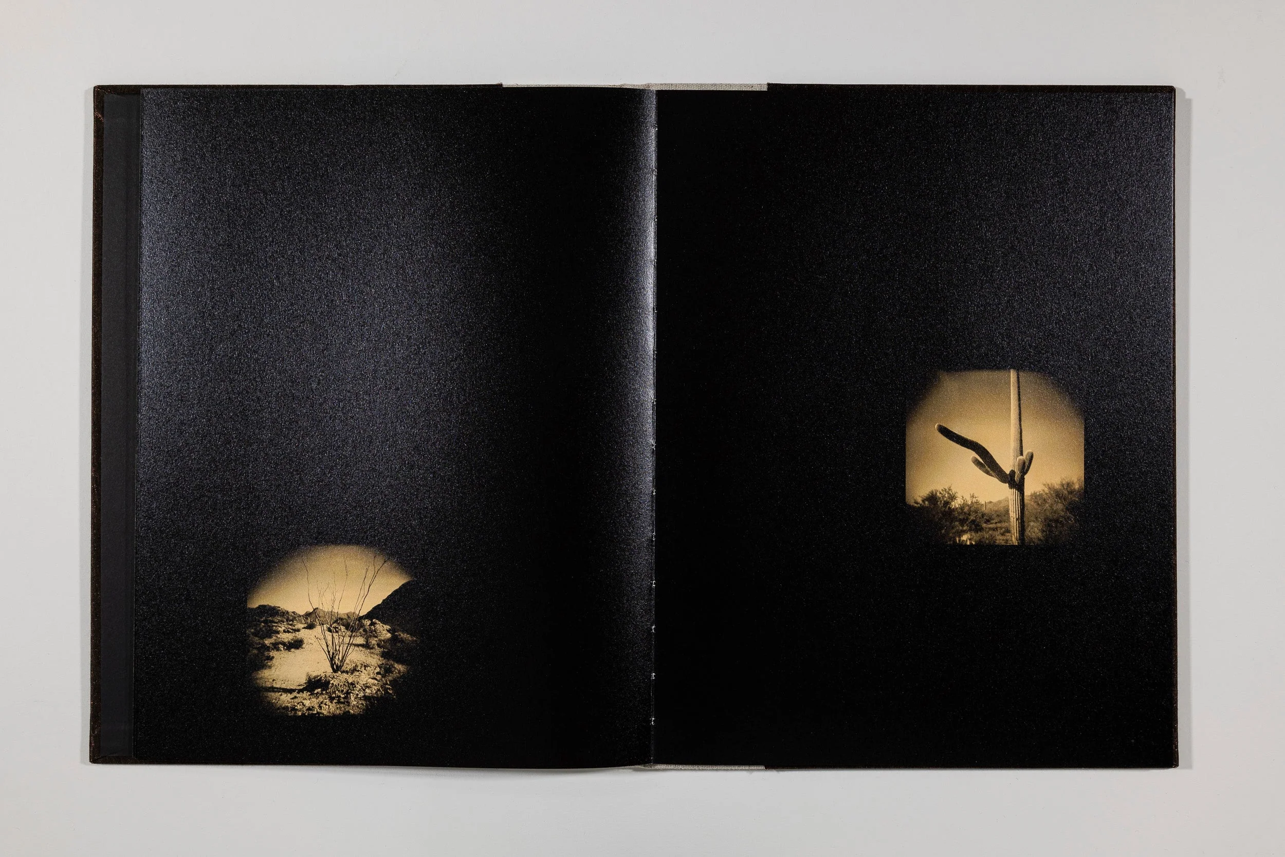 Valerie Galloway, Rever dans le desert - Image 9