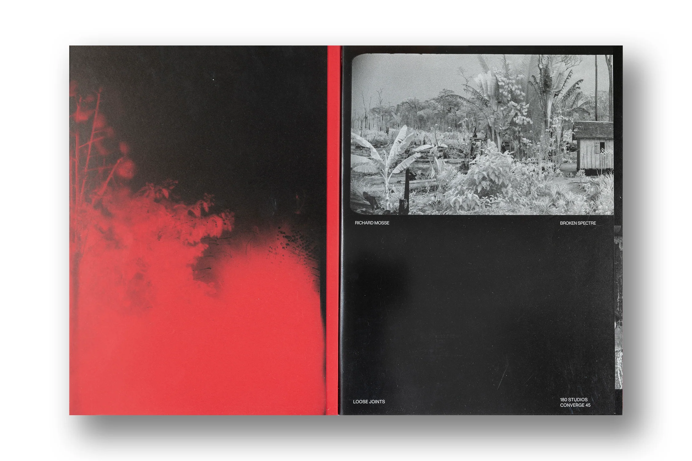 Richard Mosse, Broken Spectre - Image 2
