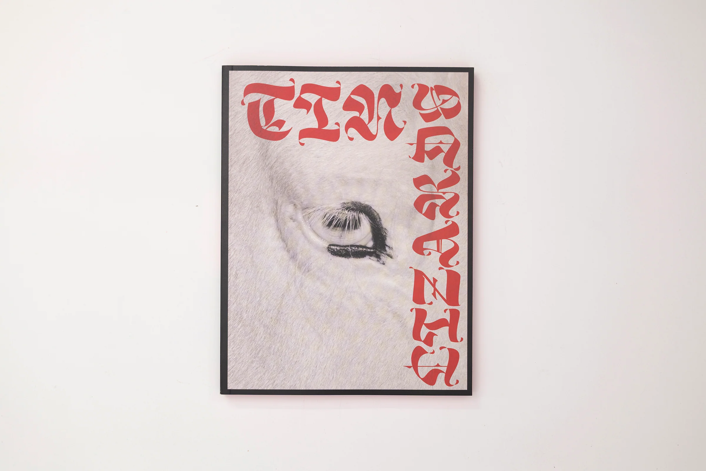 Robert LeBlanc, Tin Lizards - Image 2