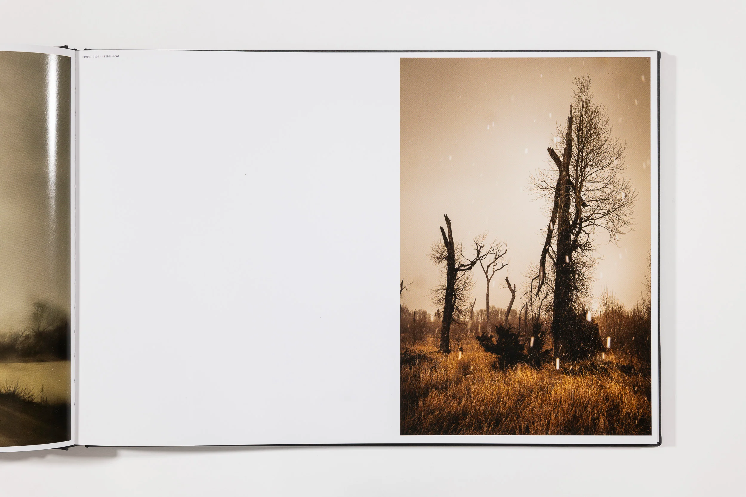 Todd Hido: The End Sends Advance Warning - Image 7