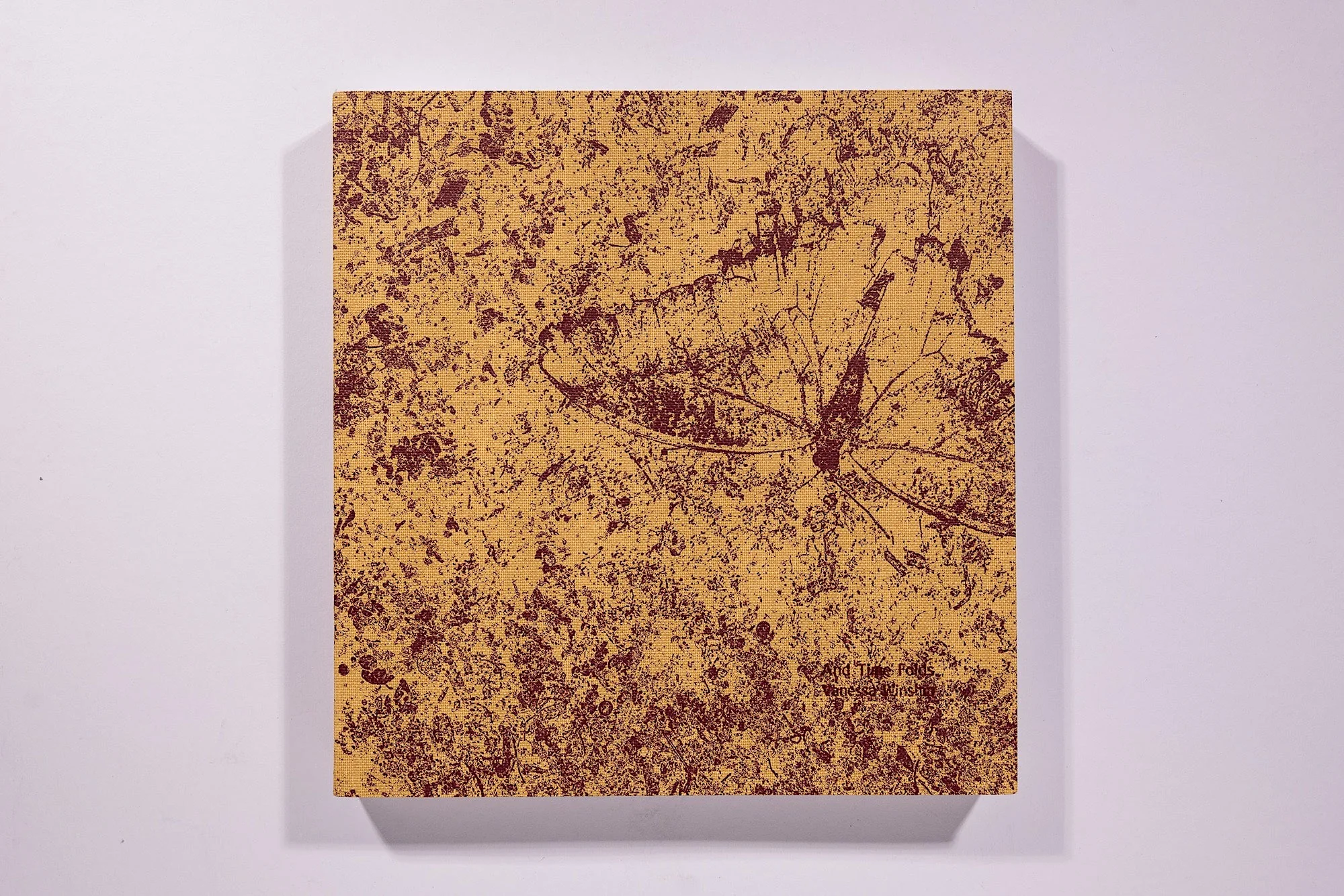 And Time Folds Vanessa Winship