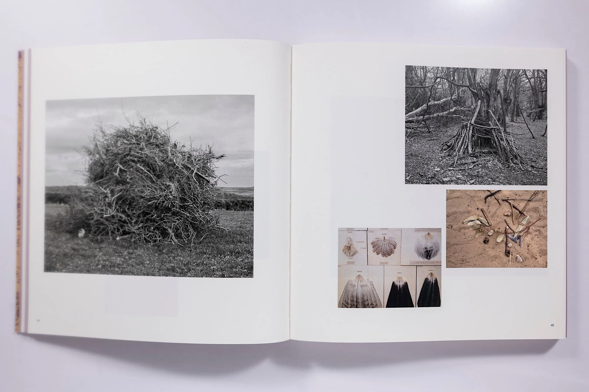 And Time Folds Vanessa Winship - Image 6