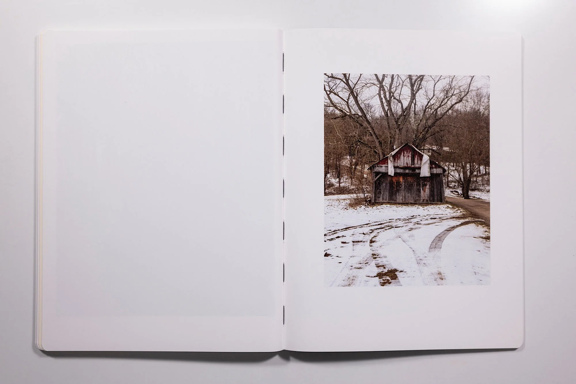 Vanessa Winship, Snow - Image 11