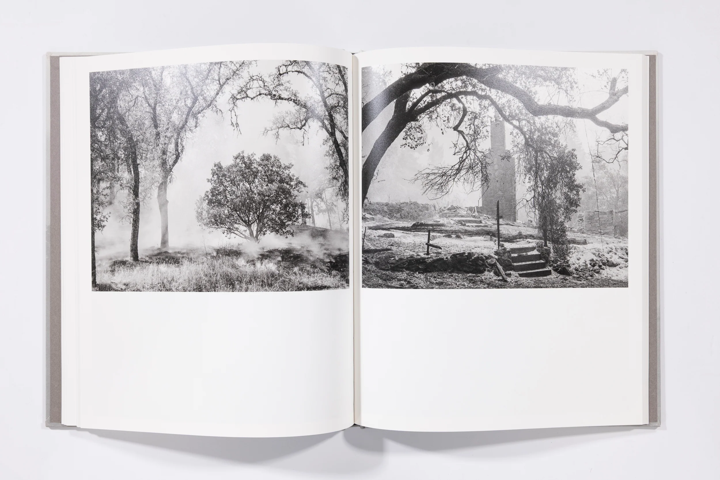 The Weight of Ash - Ian Bates - Image 10