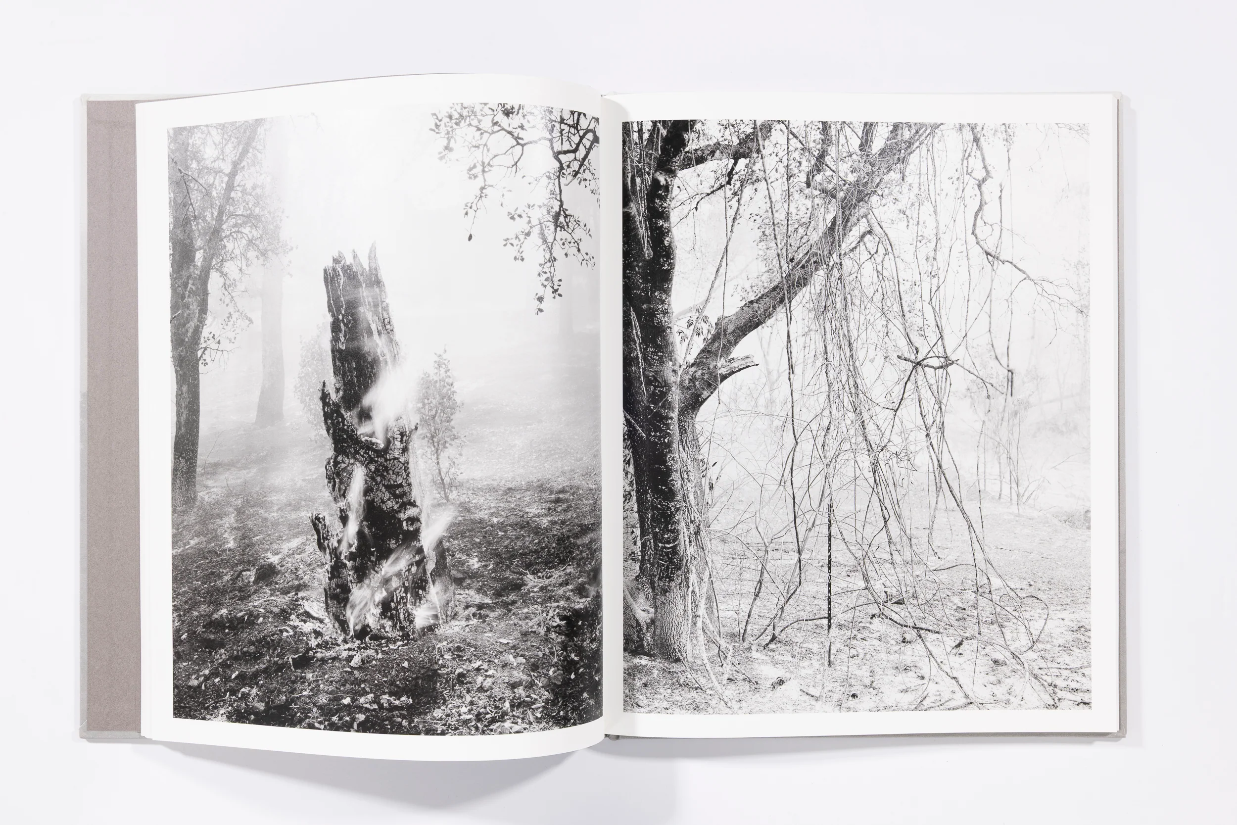 The Weight of Ash - Ian Bates - Image 4